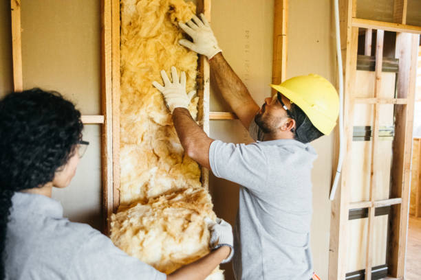 Best Home Insulation Services  in Lakeland Village, CA